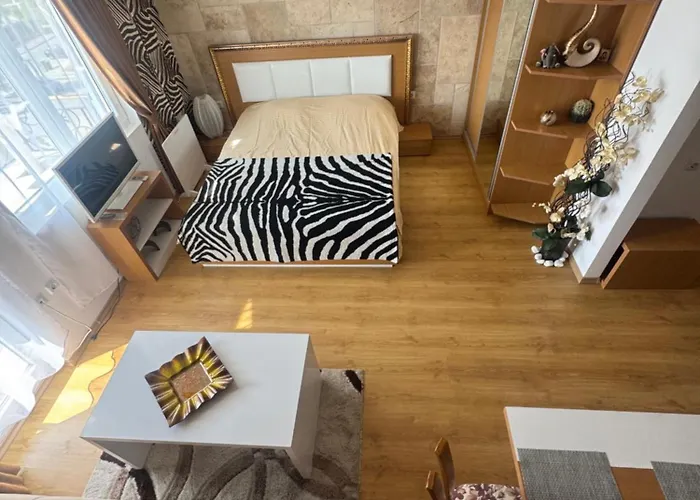 Cozy In Sanny Apartment