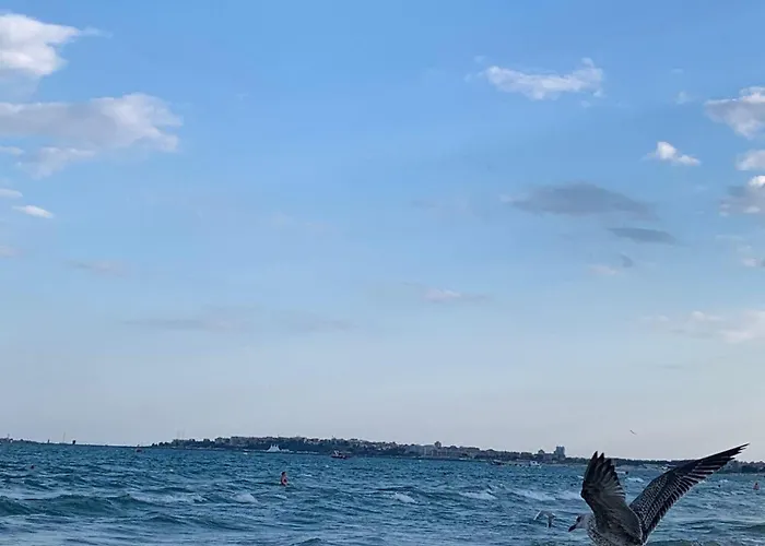 Cozy In Sanny Apartment *