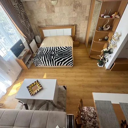 Cozy In Sanny Apartament